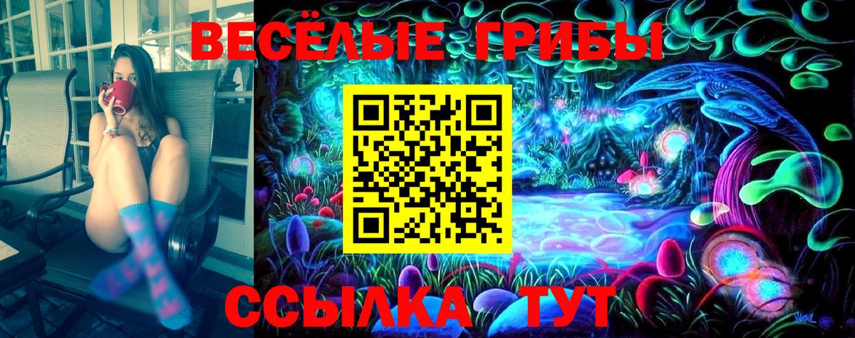 Псилоцибиновые грибы прущие грибы Сорочинск