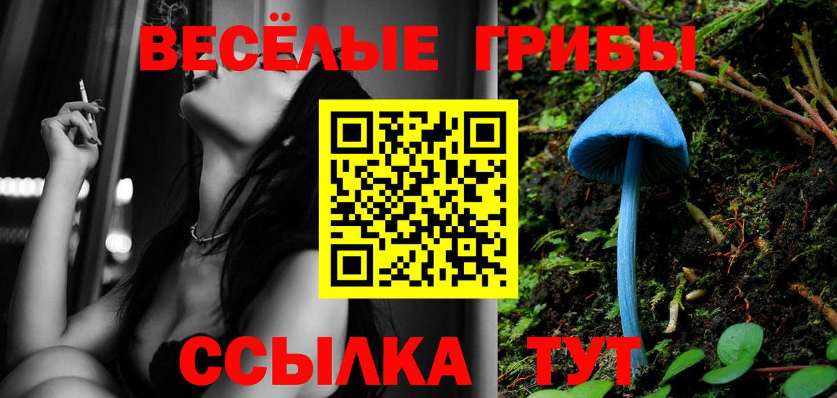 Галлюциногенные грибы прущие грибы  Вход с VPN  Сорочинск  Галлюциногенные грибы Psilocybe 